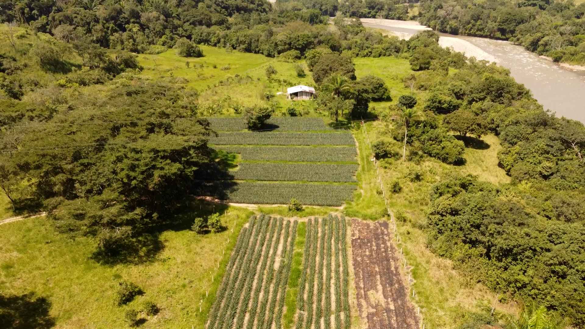 Finca la Corocora